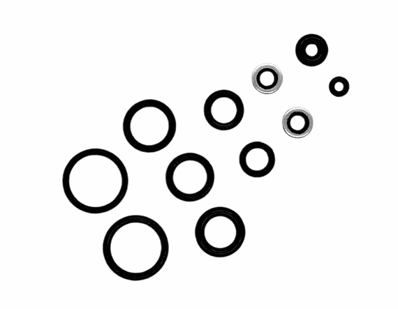Seal Kits - Suitable for BSA Air Rifles - Choose Your Model - My Store